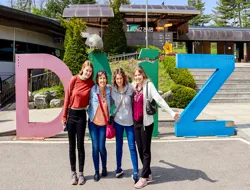 8-Hour DMZ Tour from Seoul with Optional North Korean Defector Interview